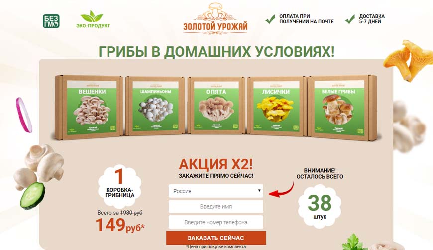 «Золотой урожай»: грибы в домашних условиях за 149р. Обман!